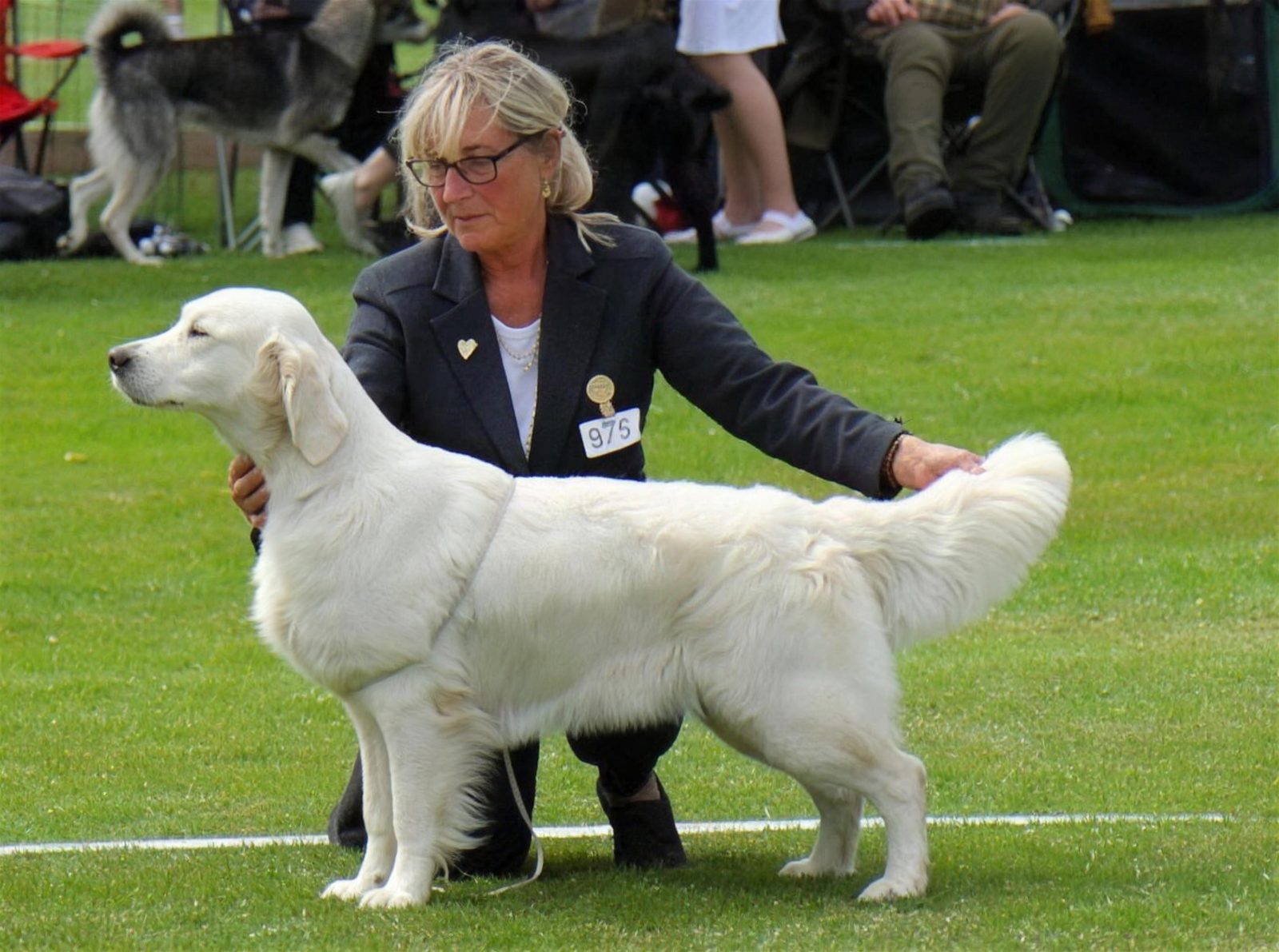Mamma – Endicott Athena