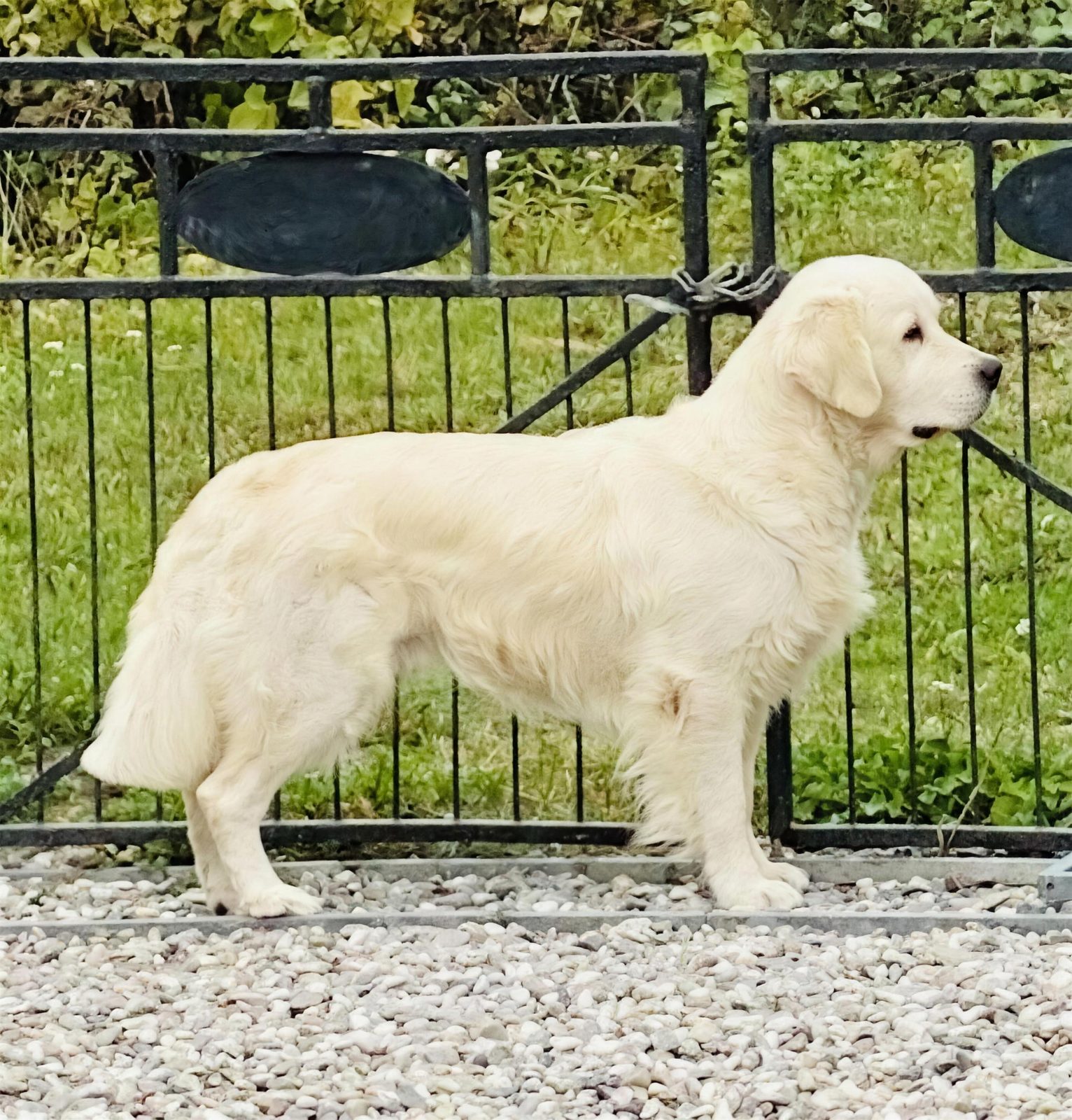 Pappa – Endicott Biasiotto Prosecco ”Otto”